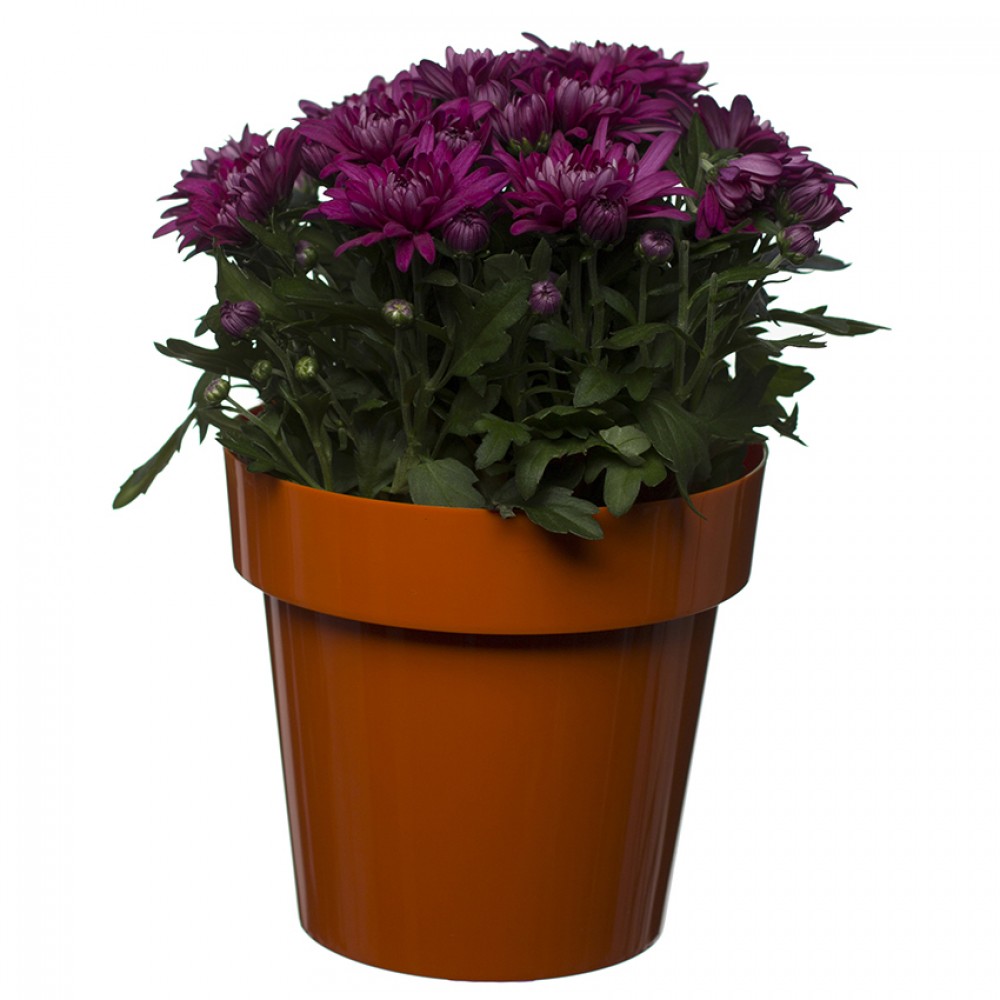 Flower Pots Classic Orange